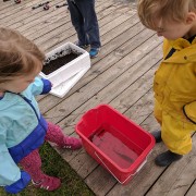 Two children looking into a bucket with a Perch inside