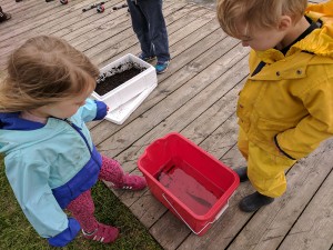 Two children looking into a bucket with a Perch inside